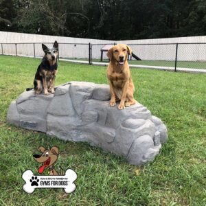 Two dogs, one black and tan and one golden, are sitting on a large, gray artificial rock in a grassy fenced area. A "Gyms for Dogs" logo with a cartoon dog and bone is in the bottom left corner.