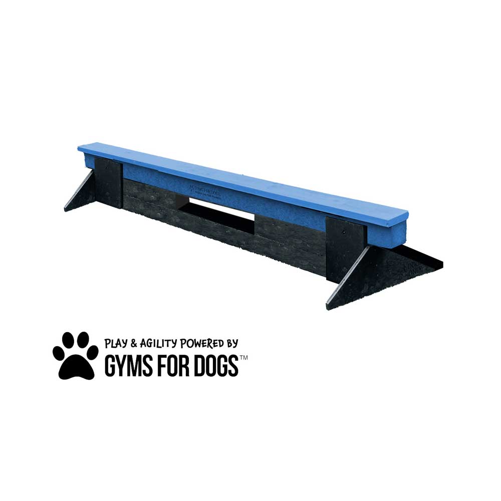 A blue and black dog agility training balance beam with supportive triangular end stands, branded with "Gyms for Dogs" logo featuring a paw print and the words "Play & Agility Powered by Gyms for Dogs.