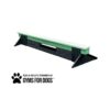 A green and black dog agility plank with support legs, designed for dog exercise and training. The logo "Play & Agility Powered by Gyms for Dogs" with a paw print is visible beside the plank.