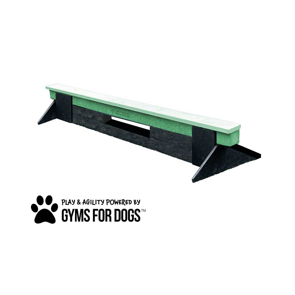 A green and black dog agility plank with support legs, designed for dog exercise and training. The logo "Play & Agility Powered by Gyms for Dogs" with a paw print is visible beside the plank.