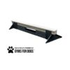 A dog agility balance beam with sturdy black supports and a light-colored walking surface. The logo "Play & Agility Powered by Gyms For Dogs" with a paw print is displayed next to the beam.