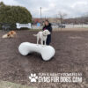 A woman stands behind a white dog balancing on a large bone-shaped structure at a dog park. Another dog sniffs the ground nearby. The park has trees, a fence, and overcast skies. The text reads, "Play & Agility Powered by Gyms for Dogs.