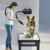 A woman uses a pet dryer with a hose to dry a large, fluffy dog sitting on a grooming table in a clean, modern room.