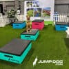 A dog sits on a pink platform in an indoor area with artificial grass, surrounded by blue and black exercise platforms, a white fence, and a "JUMP DOG" logo on the ground. A banner with playground images is in the background.
