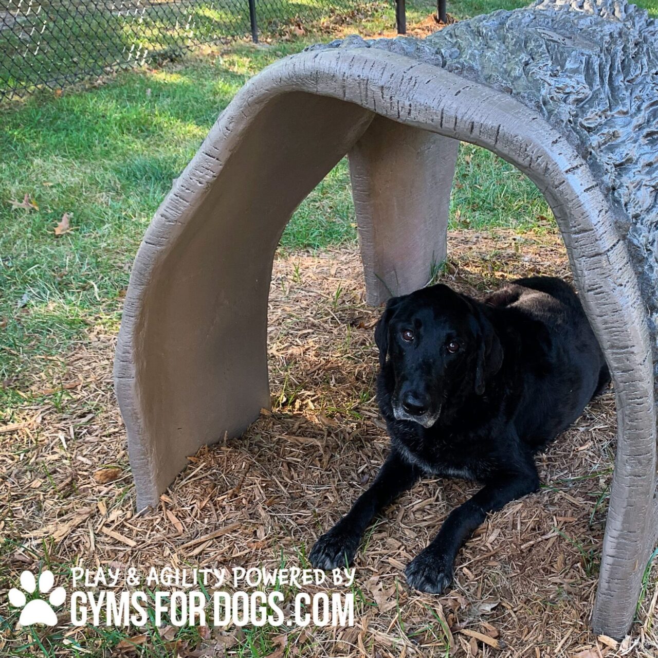 A black dog is lying on wood chips under a curved concrete tunnel in a fenced outdoor area. Text reads: "Play & agility powered by GYMSFORDOGS.COM" with a paw print icon.