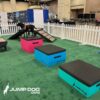 A black dog wearing a harness stands on a pink platform in an indoor agility area with ramps and padded boxes. White fencing surrounds the green turf, and “JUMP DOG.com” is printed in the lower left corner.