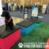 A black dog wearing a red bandana sits on a pink padded platform at an indoor event. Nearby, there are blue and black platforms, a thank you sign, and a banner for GymsForDogs.com.