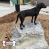 A black dog stands alert on top of a large artificial rock in an outdoor play area covered with wood chips. The "Gyms For Dogs" logo appears in the lower left corner.