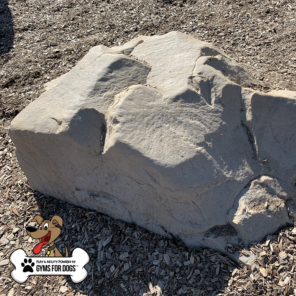 A large, textured rock sits on mulch-covered ground in sunlight. In the lower left corner, there is a cartoon dog logo and the text "Gyms For Dogs .