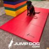 A black dog wearing a red service vest sits on a red exercise mat with the "Jump Dog" logo, next to stacked colorful mats on a carpeted floor. The "JUMP DOG.COM" logo appears at the bottom of the image.