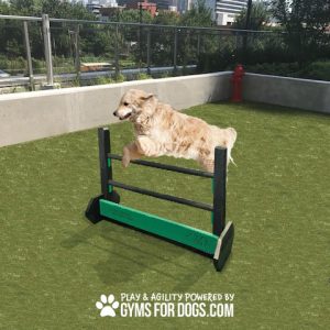 Jump Hurdle - Adjustable Portable Mount