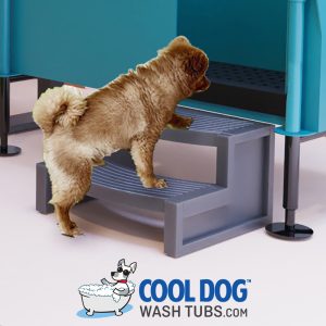 Cool Dog Wash Tubs - Safety Stair Step-Up