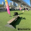 A black dog stands on a Jump Balance Beam at a grassy outdoor dog park with colorful “PLAY” flags, city buildings, and an overpass in the background. Text reads: “Play & Agility Powered by Gyms For Dogs.”.