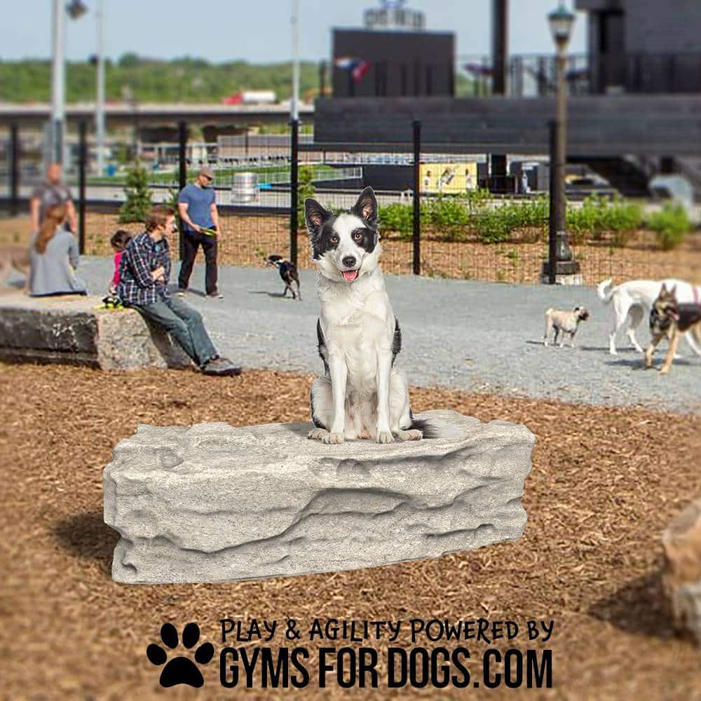 A black and white dog sits on a large stone at the Dog Park, with others in the background. Text below reads, "Play & agility powered by Block Rumble - Interactive Play Series" with a paw print graphic.