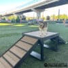 A dog stands atop the Bridge Climb 34" Tall (Pro) on green artificial turf in a fenced dog park, with flags and an overpass behind. The happy, alert dog enjoys this outdoor play area.