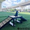 A black dog sits on the Bridge Climb (Pro), an elevated wooden agility platform with ramps, in a grassy outdoor park. Elevated highways and city buildings are visible under a blue sky in the background.