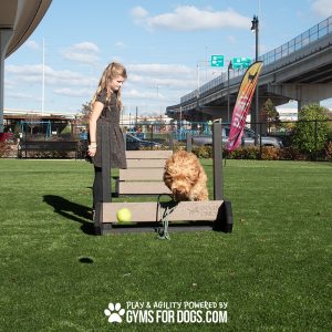 Jump Hurdle - Small