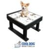 A small dog sits on a raised washing platform with cartoon dog illustrations on the surface. Below, the logo "COOL DOG WASH TUBS.COM" features a dog in a bathtub with bubbles.
