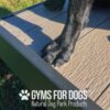 A close-up of a black dog's front legs and paws standing on a wooden platform outside, with the text "Bridge Climb (Pro) by GYMS FOR DOGS Natural Dog Park Products" at the bottom.
