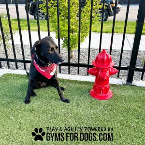 Fire Hydrant – Portable Bottom Fill
