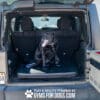 A black dog sits on the Jump Dog SUV Pet Comfort Pad in the open trunk of an SUV, looking to the side with its tongue out. At the bottom, "PLAY & AGILITY POWERED BY GYMS FOR DOGS.COM" appears with a paw print graphic.