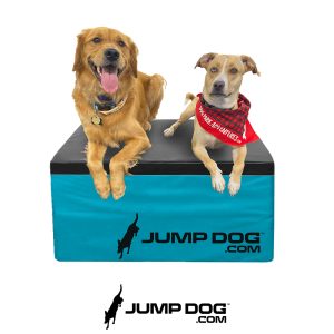 Jump Training Agility 18" Cushion Platform