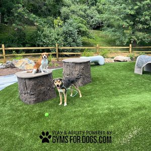 Jumping Stump - Small