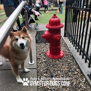 Fire Hydrant - Surface-Mount
