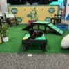 A black dog wearing a harness rests on the Training Platform (L/X) in a pet expo display featuring agility gear, green turf, Dog Park-themed setups, and signage highlighting natural products and healthy nutrition.