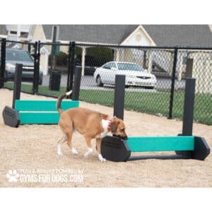 A brown and white dog walks under a green and black Jump Hurdle - Small at an outdoor dog park, with a black chain-link fence and houses in the background.