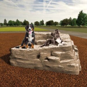Two dogs, one large and one medium-sized, sit on the Rocky Mountain Climb at a dog park, surrounded by woodchip ground and trees in the background.