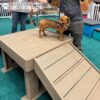 A small brown dog stands on a wooden platform with a ramp, wearing a colorful bandana and leash, while two people hold its leash at an indoor dog play area.