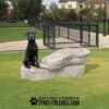A black dog sits on the Agility Overlook Flat - Interactive Play Series in a grassy dog park, with a black chain-link fence and apartment buildings behind. Text at the bottom reads "Play & Agility Powered by GymsForDogs.com.