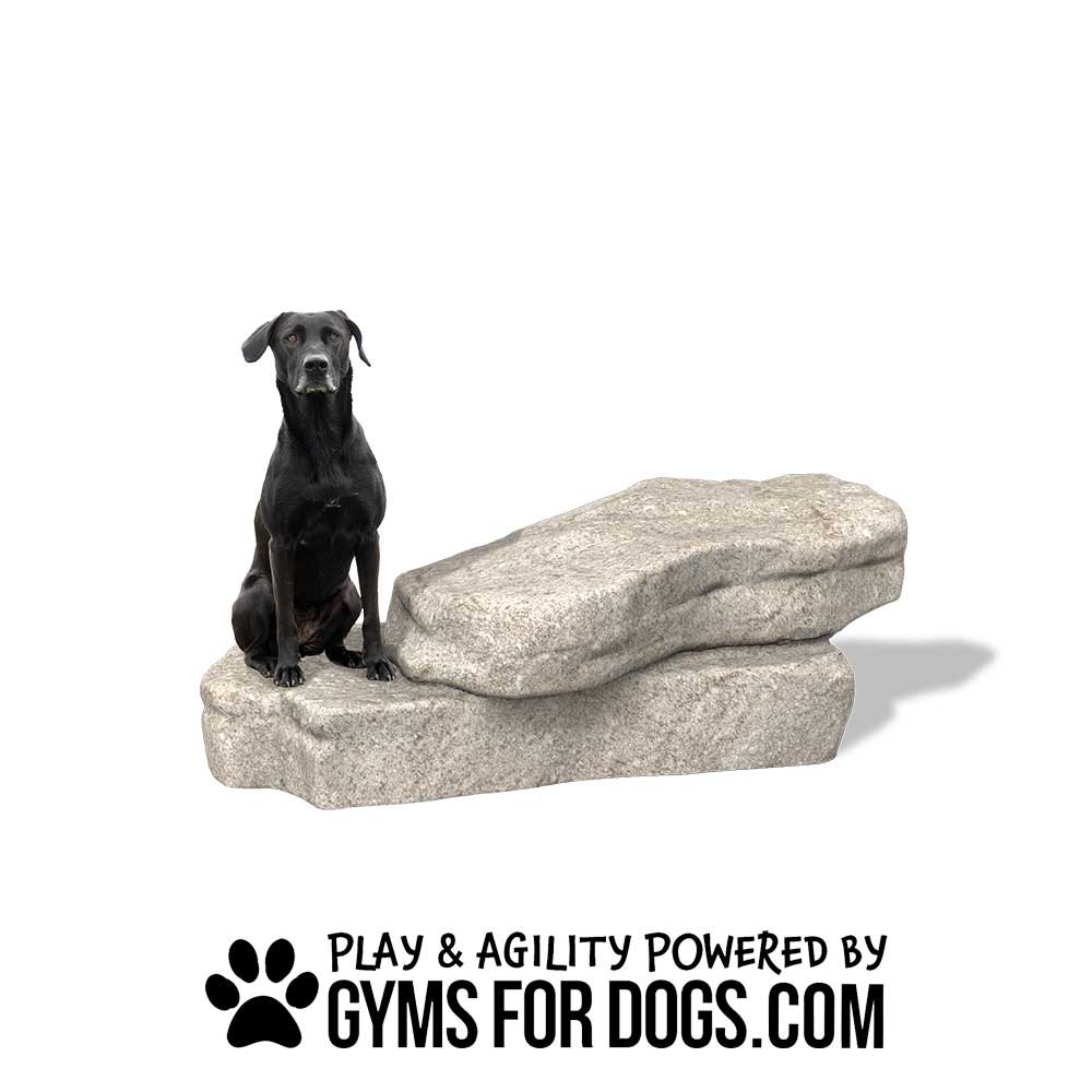 A black dog sits on realistic faux rock platforms. Text below reads "Play & Agility Powered by GymsForDogs.com" with a black paw print graphic.