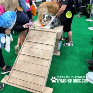 Two dogs play on the Interactive Play Bridge Climb at a pet expo, while people watch nearby—one with a phone, another with a blue toy. The green turf floor displays "Gyms for Dogs" branding. This product is ideal for shelters and private properties.