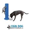 A black dog drinks from a white bowl attached to a blue Cool Dog Water Fountain - Doggie Demand Water Spout & Hose Bibb. The upright fountain has a hose. Text below reads "COOL DOG WATER FOUNTAINS.com" with a dog illustration.