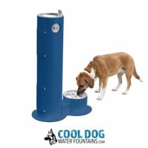 A brown and white dog drinks from a low dog water fountain attached to a blue standing water fountain for people, with the text "Cool Dog Water Fountains.com" and a dog logo below.