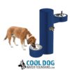 A brown and white dog drinks from the Cool Dog Water Fountain - SST, featuring a dog basin, ADA basin, and hose bib attached to a blue outdoor fountain with the "COOL DOG WATER FOUNTAINS.COM" logo below.
