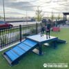 A black dog wearing a red harness stands on an elevated blue agility platform at a dog park, with a fence, parked cars, trees, and cloudy sky in the background.