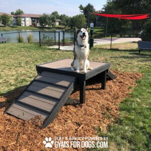 A husky sits atop the Bridge Climb (L/X) 29" Tall agility platform in a fenced outdoor park with grass, wood chips, and a small lake. The bottom text reads, "GYMS FOR DOGS.COM.