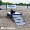 A large black dog lies on a raised platform with a ramp at a dog park. There's a sign behind that reads "GYMS FOR DOGS Natural Dog Park Products." The area is fenced and covered with wood chips.