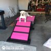 A white Labrador lies on a pink and black agility ramp in a garage, with various household items and chairs in the background. "GYMS FOR DOGS.COM" is printed in white text on the floor.