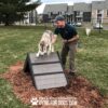 A man helps a husky dog climb a wooden ramp at a dog park. Another dog is in the background. The ground is covered with mulch, and apartment buildings are visible behind a black fence. Text at the bottom reads "Gyms For Dogs.