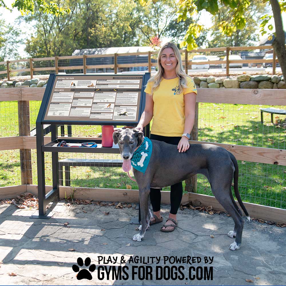 A woman in a yellow shirt stands next to a large gray Great Dane wearing a blue bandana, in front of a park sign. Trees and a fence are in the background. Text at the bottom reads, "Powered by Gyms for Dogs.com.