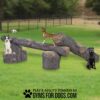Three dogs enjoy the Interactive Pack Logs - Interactive Play Series in a grassy park. One sits on a stump, one stands atop a balance beam, and another rests beside the logs. Text reads, "Gyms for Dogs.