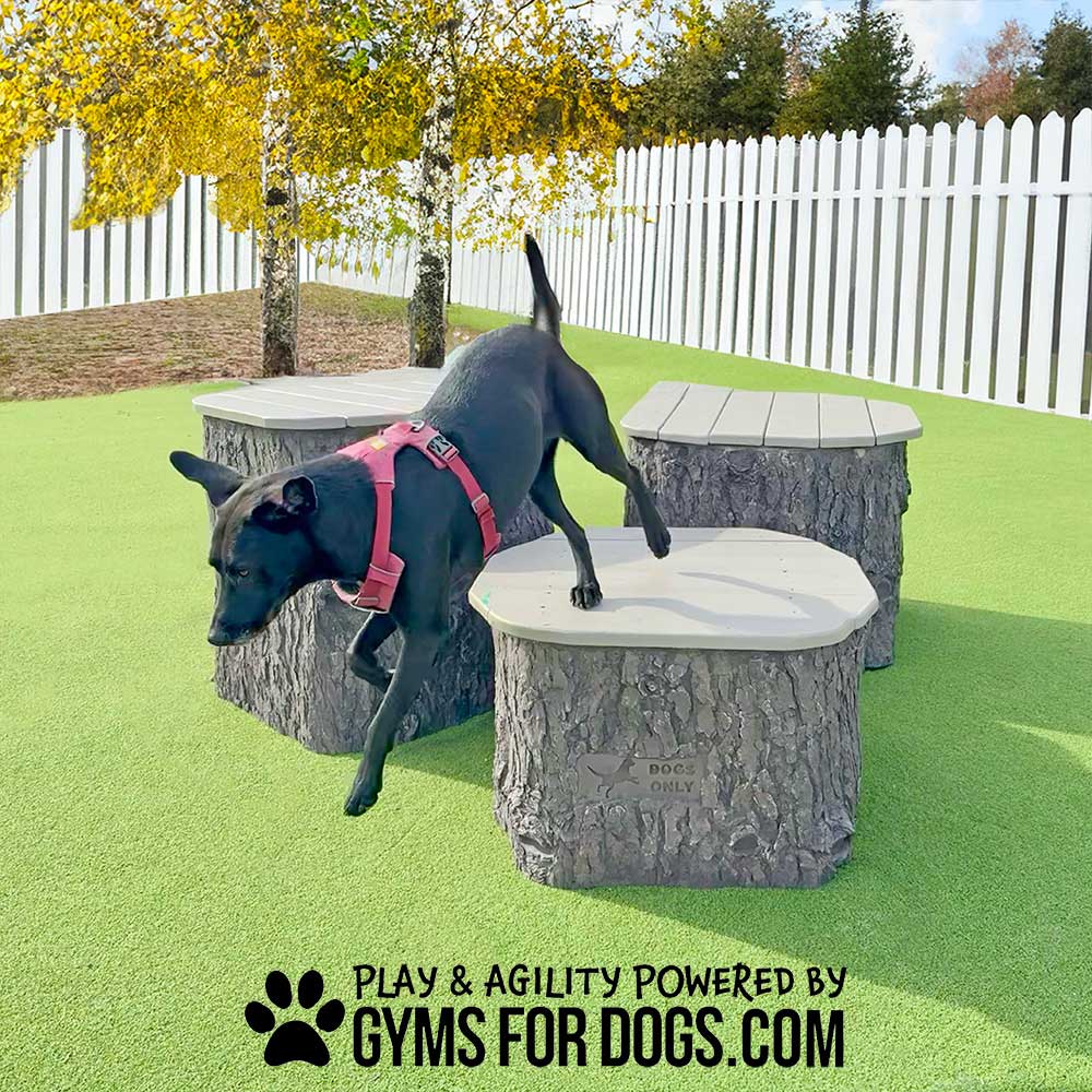 A black dog wearing a pink harness jumps off a platform shaped like a tree stump on green turf, with a white picket fence and autumn trees in the background. Text reads "Play & Agility Powered by Gyms for Dogs.com".