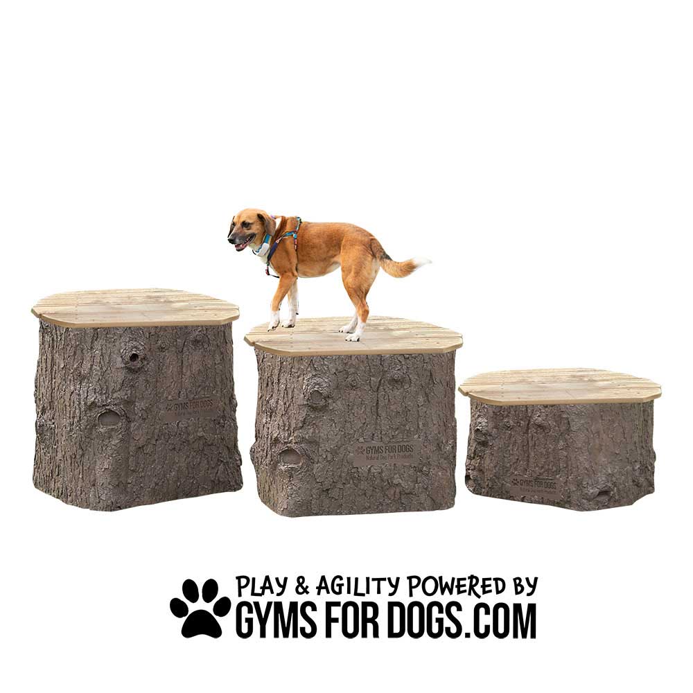 A dog stands on one of three artificial tree stump platforms of varying heights. Text below reads, "PLAY & AGILITY POWERED BY GYMSFORDOGS.COM.