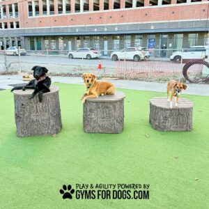 Three dogs of different sizes sit on the Natural Jumping Stumps - Set of 3, arranged by height on artificial grass in an urban dog park. Text reads, "Play & agility powered by Gyms for Dogs.com.