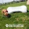 A brown and white dog with a red bandana sniffs grass near a large white bone-shaped structure in a fenced outdoor dog park. Text reads, "Play & Agility Powered by GYMS FOR DOGS.COM.