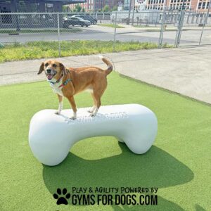 A happy brown and white dog stands on The Agility Bone - Free Standing Heavy-Antique Polar (S/M) in a fenced outdoor dog park with artificial turf. "Gyms For Dogs" is printed on the large white bone-shaped play structure.
